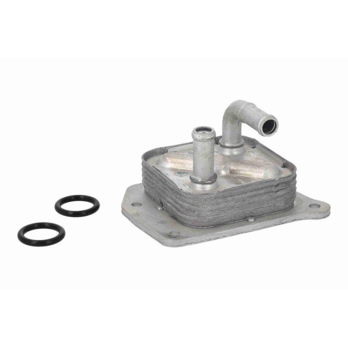 ACKOJA A38-60-0023 &Ouml;lk&uuml;hler, Motor&ouml;l Original ACKOJA Qualit&auml;t f&uuml;r NISSAN