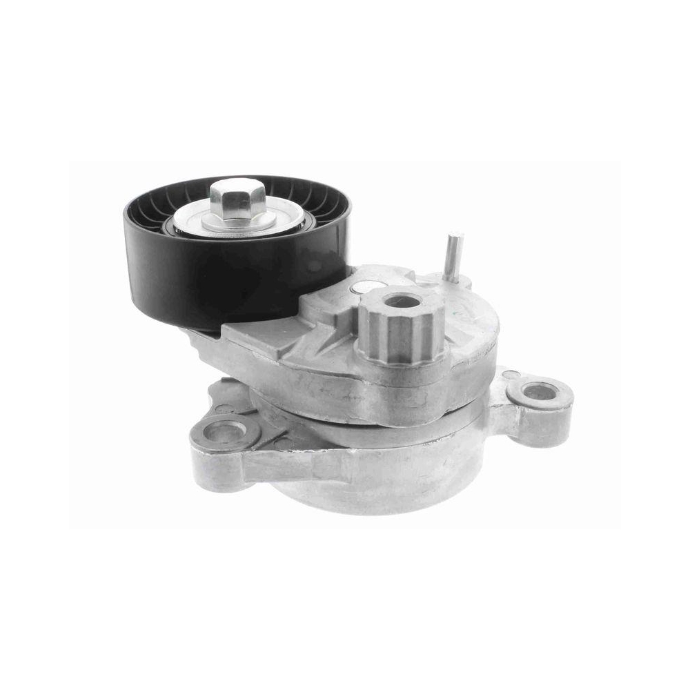 Riemenspanner, Keilrippenriemen VAICO V42-7148 Original VAICO Qualität für