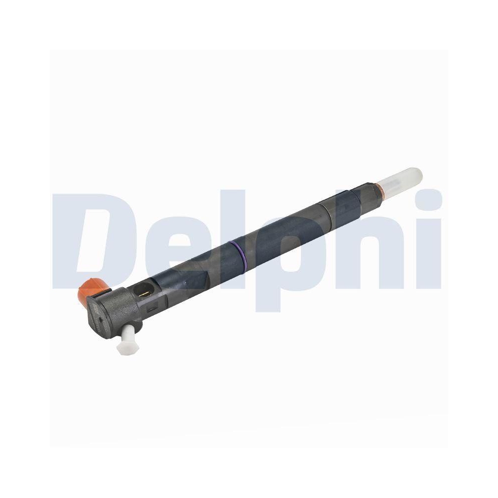 DELPHI 28489562-12B1 Einspritzventil f&uuml;r CHEVROLET