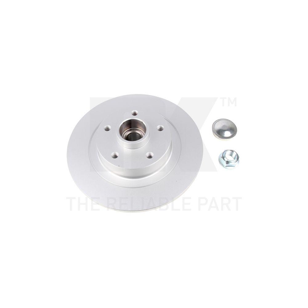 NK 3139109 2 St&uuml;ck Bremsscheiben f&uuml;r RENAULT, Hinterachse