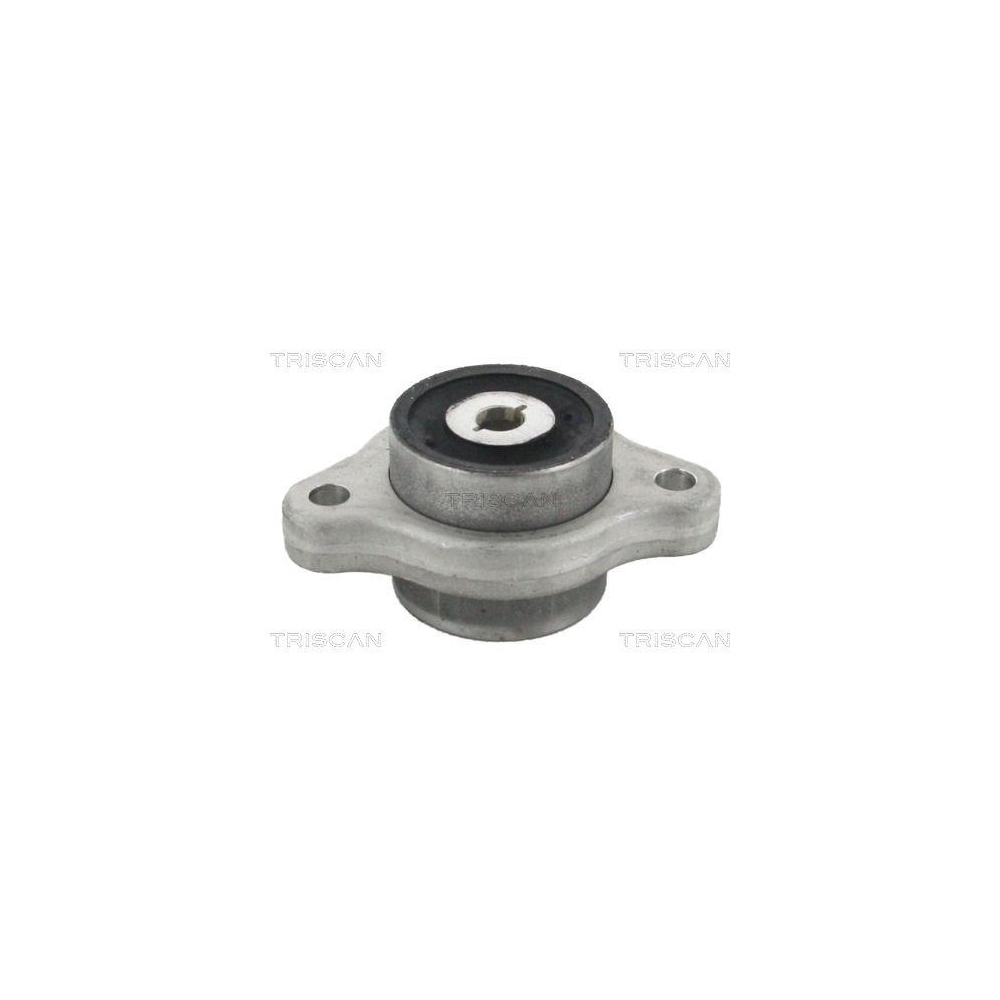 Lagerung, Lenker TRISCAN 8500 23887 f&uuml;r, Vorderachse rechts, unten, vorne