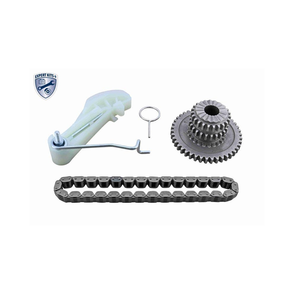 Kettensatz, Ölpumpenantrieb VAICO V10-5855 EXPERT KITS + für VW VAG