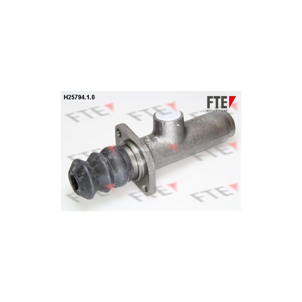 Hauptbremszylinder FTE 9722080 für KÄSSBOHRER MAN MERCEDES-BENZ MASSEY FERGUSON