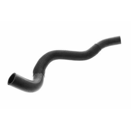 ACKOJA A53-1601 K&uuml;hlerschlauch Original ACKOJA Qualit&auml;t f&uuml;r KIA, unten
