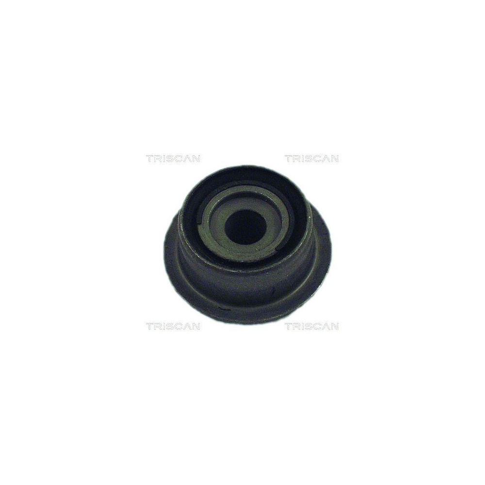 Lagerung, Achsk&ouml;rper TRISCAN 8500 28817 f&uuml;r PEUGEOT, Hinterachse, hinten, vorne