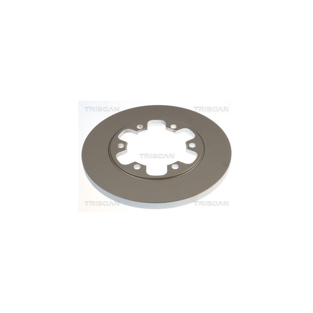 TRISCAN 8120 161006C 2 St&uuml;ck Bremsscheiben f&uuml;r FORD, Hinterachse