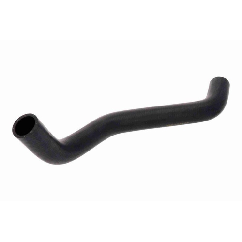 ACKOJA A64-1601 K&uuml;hlerschlauch Original ACKOJA Qualit&auml;t f&uuml;r SUZUKI, unten