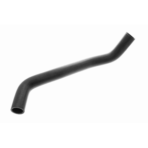 ACKOJA A64-1604 K&uuml;hlerschlauch Original ACKOJA Qualit&auml;t f&uuml;r SUZUKI, unten
