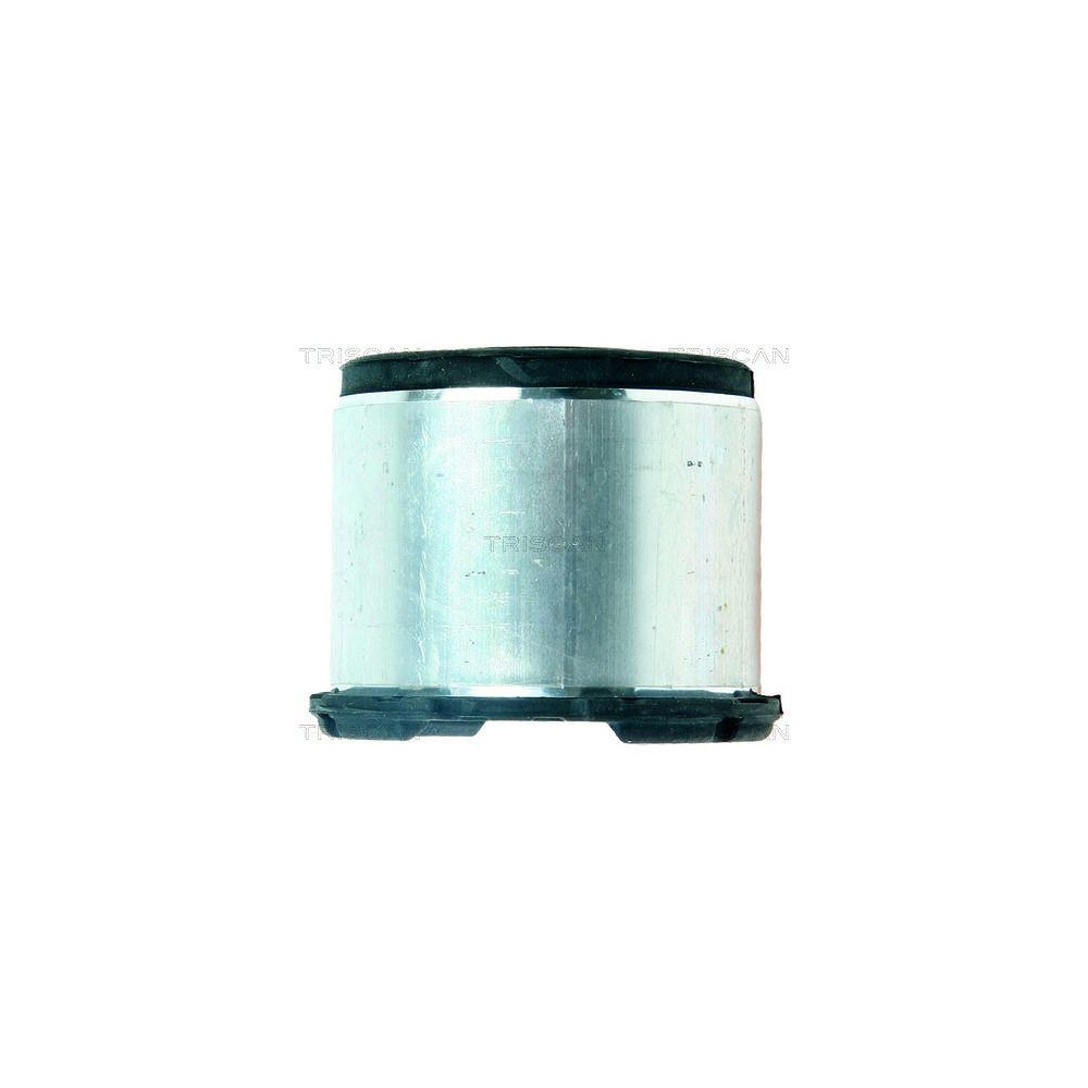 Lagerung, Achsk&ouml;rper TRISCAN 8500 29871 f&uuml;r AUDI, Hinterachse, hinten