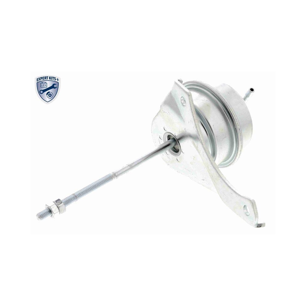 Steuerdose, Lader VEMO V15-40-0028 EXPERT KITS + für AUDI SEAT SKODA VW VAG