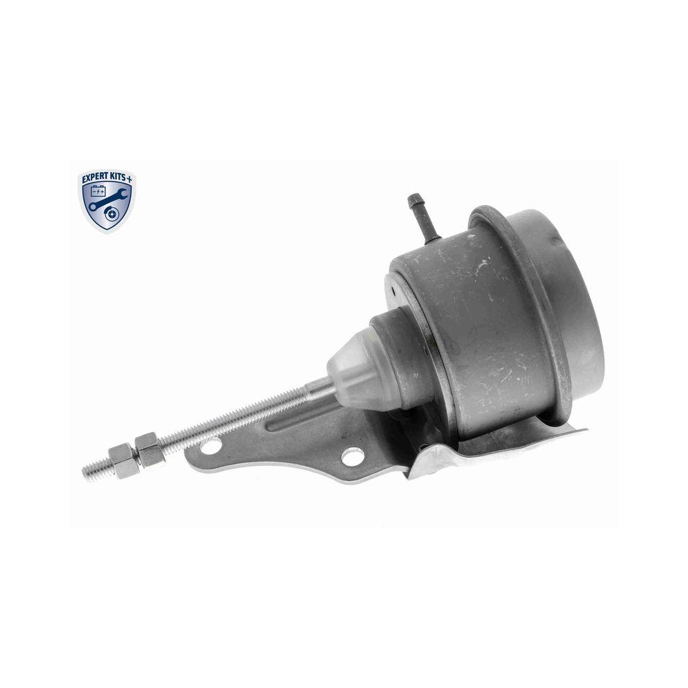 Steuerdose, Lader VEMO V15-40-0004 EXPERT KITS + f&uuml;r SEAT SKODA VW VAG