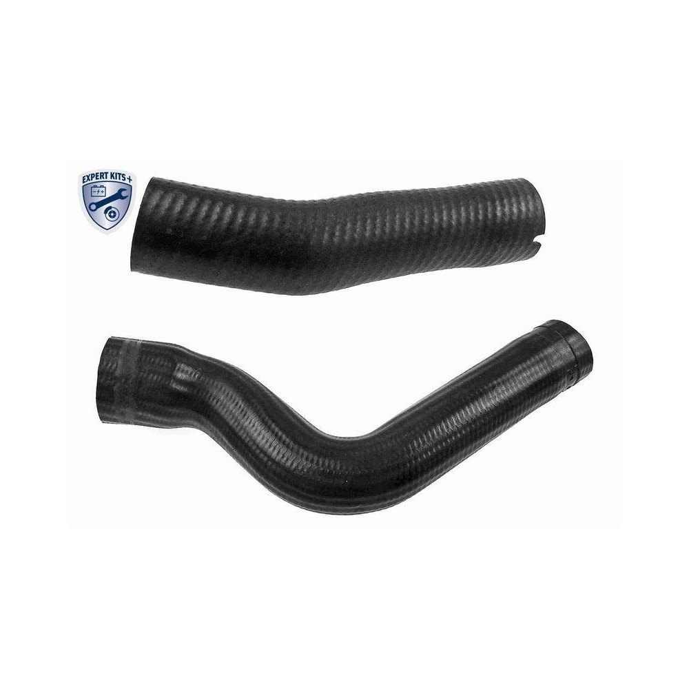 Ladeluftschlauch VAICO V24-0985 EXPERT KITS + für FIAT, Ladeluftkühler, links