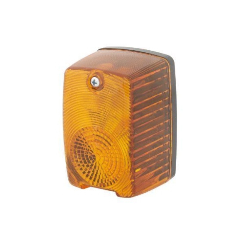 HELLA 2BA 002 652-111 Blinkleuchte f&uuml;r AEBI DAF FIAT INTERNATIONAL HARVESTER O&K
