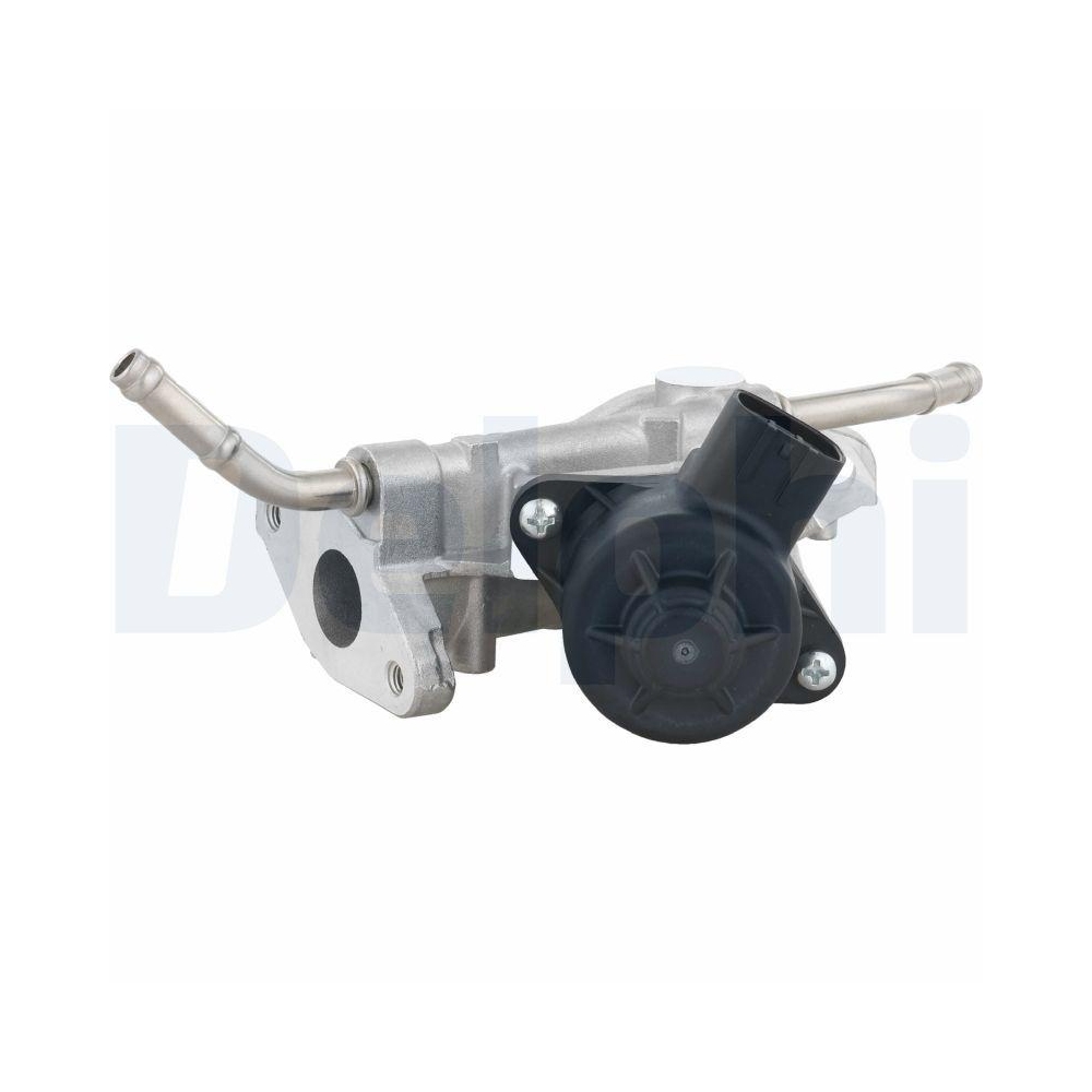 DELPHI EG10738-12B1 AGR-Ventil für TOYOTA