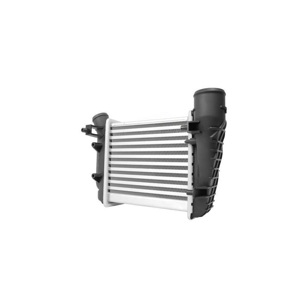 HELLA Ladeluftkühler 8ML 366 340-631 für AUDI VW CUPRA, rechts