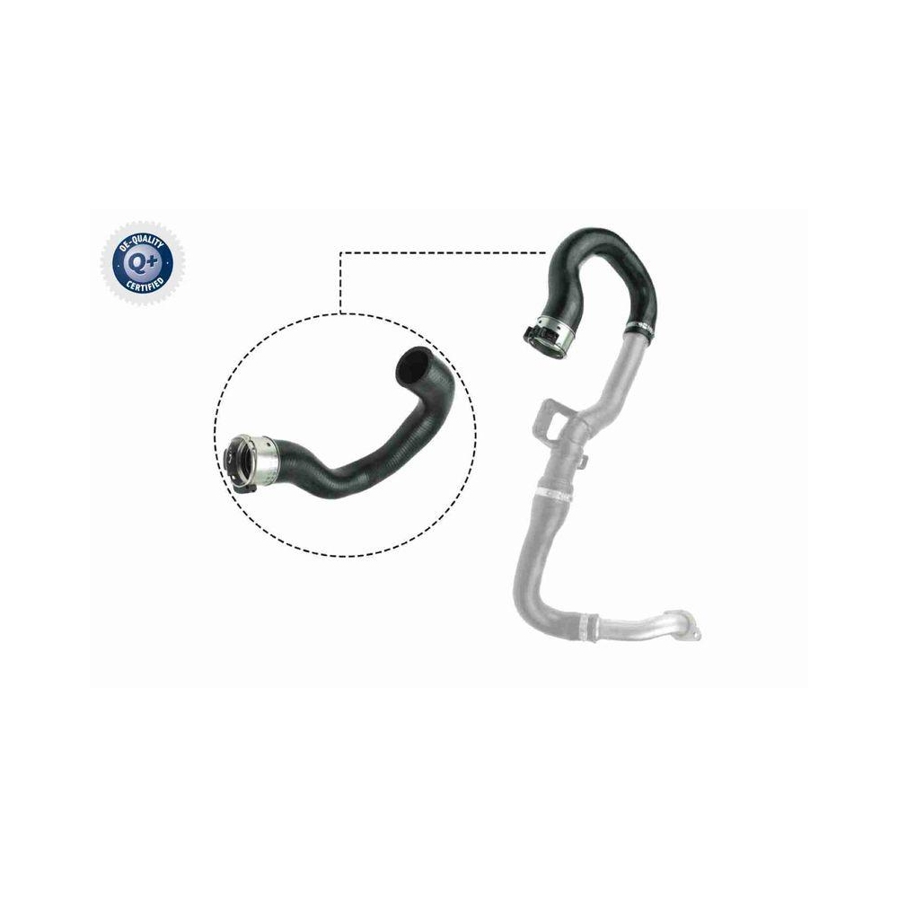 Ladeluftschlauch VAICO V40-1516 Q+, Erstausrüsterqualität für OPEL