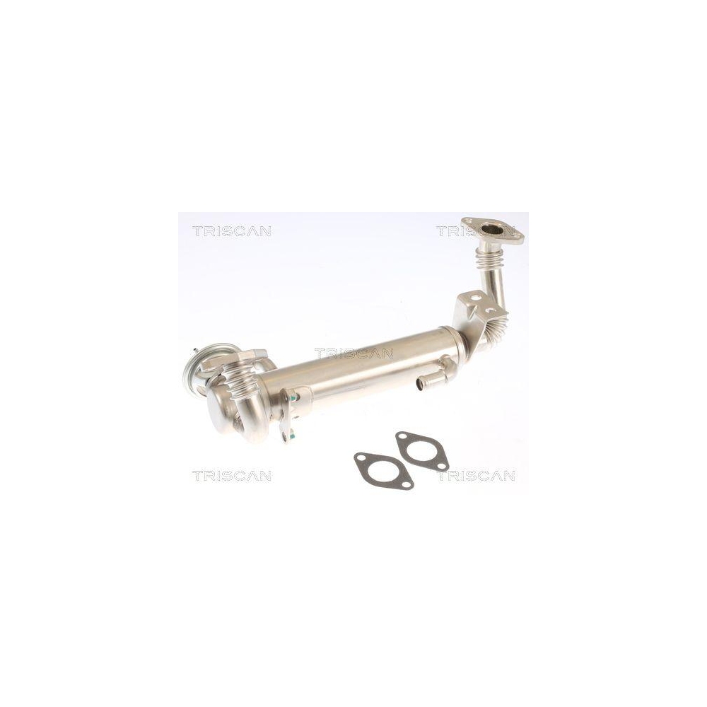 AGR-Ventil TRISCAN 8813 15074 f&uuml;r IVECO