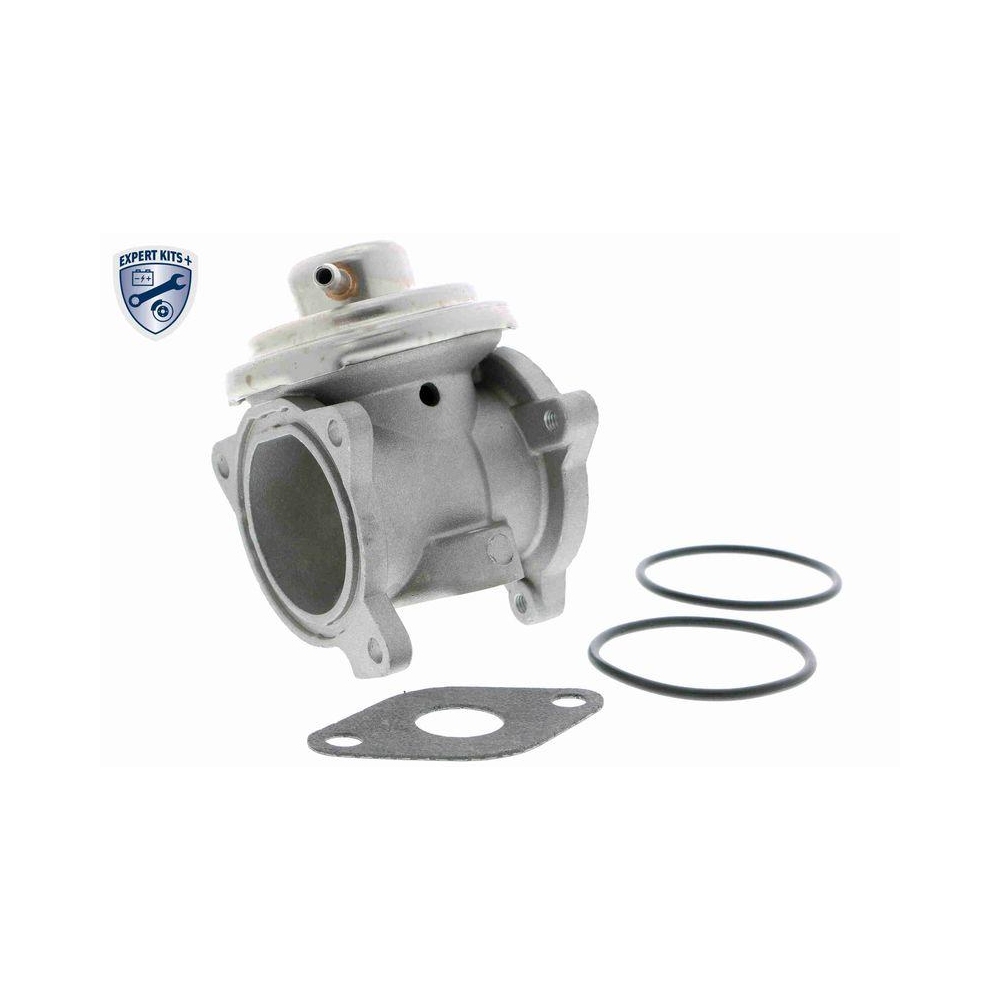 AGR-Ventil VEMO V10-63-0031 EXPERT KITS + f&uuml;r AUDI SEAT SKODA VW VAG