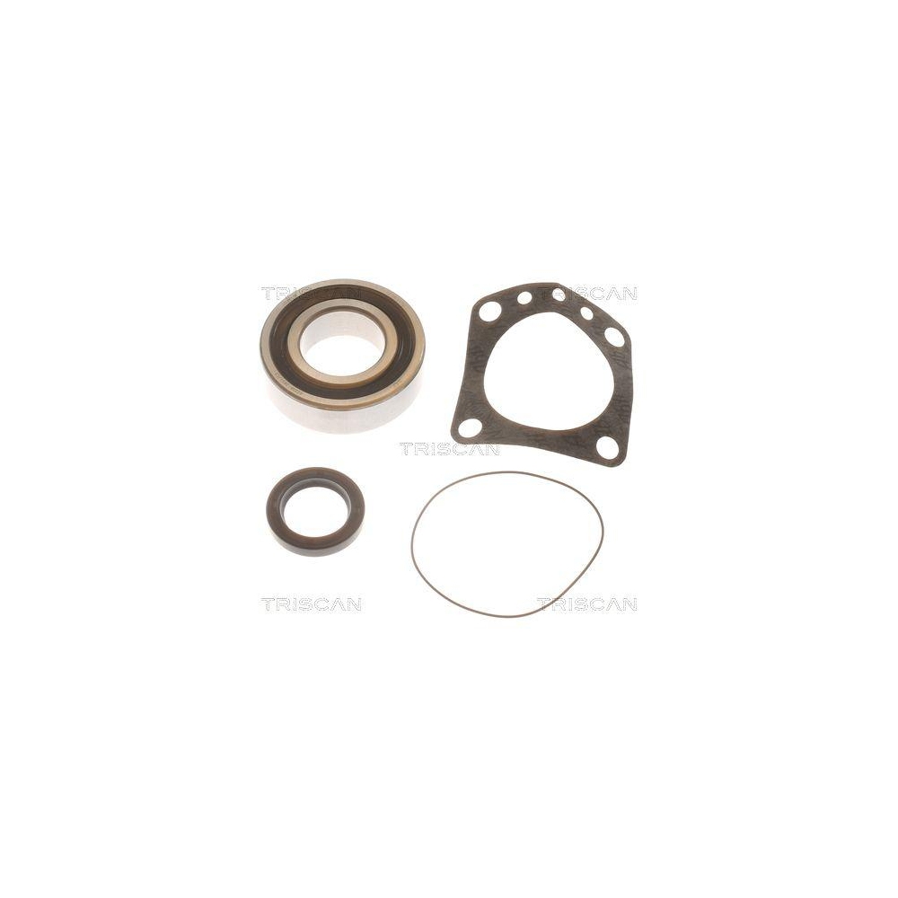 Radlagersatz TRISCAN 8530 70202 f&uuml;r, Hinterachse