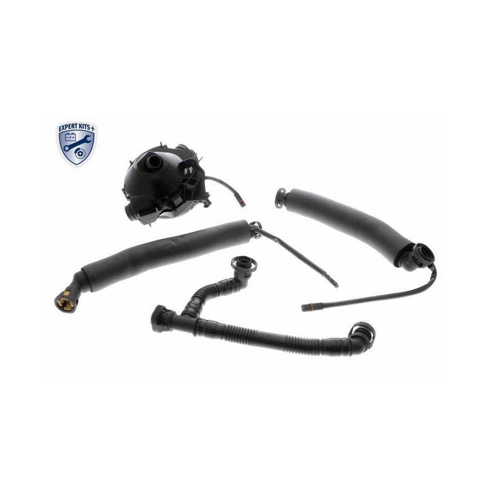 Reparatursatz, Kurbelgehäuseentlüftung VAICO V20-2509 EXPERT KITS + für BMW