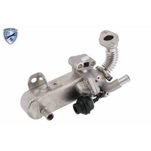 ACKOJA A38-63-0004 AGR-Modul EXPERT KITS + f&uuml;r NISSAN