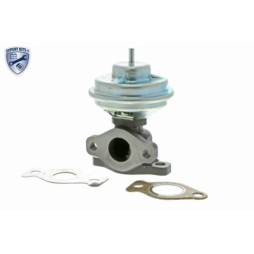 ACKOJA A52-63-0001 AGR-Ventil EXPERT KITS + f&uuml;r HYUNDAI