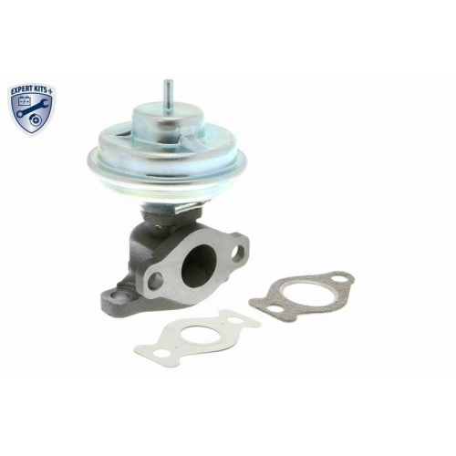 ACKOJA A52-63-0002 AGR-Ventil EXPERT KITS + f&uuml;r HYUNDAI KIA