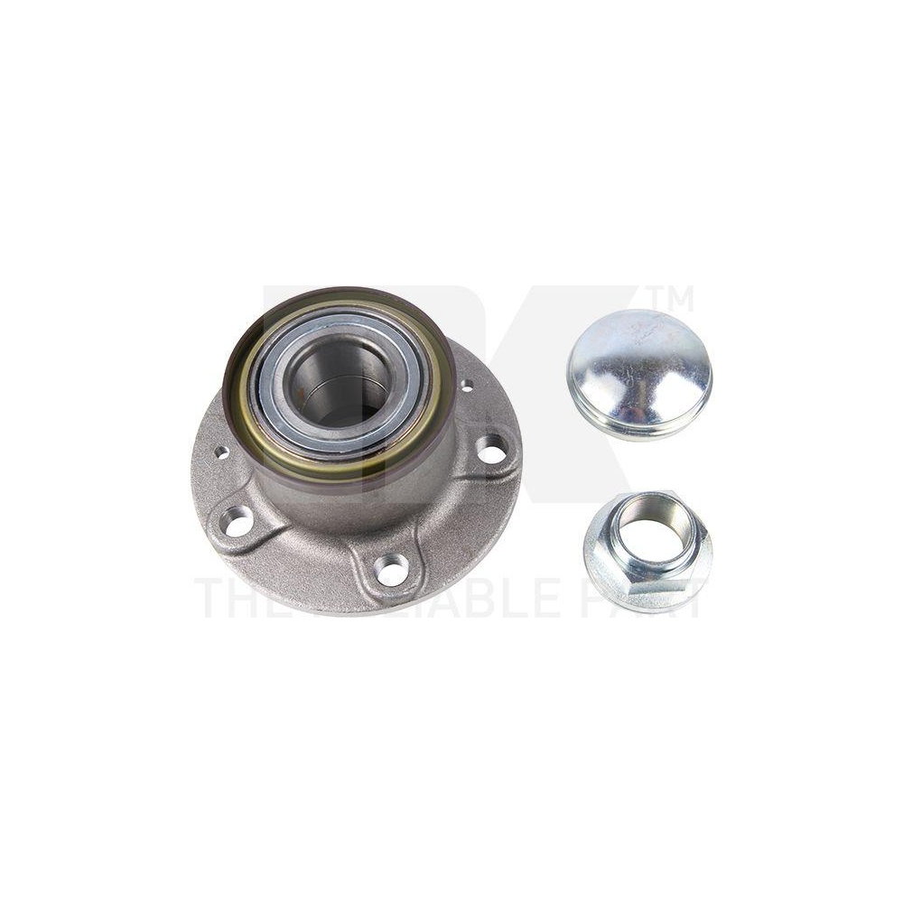 Radlagersatz NK 761930 f&uuml;r CITRO&Euml;N FIAT PEUGEOT, Hinterachse, Hinterachse links