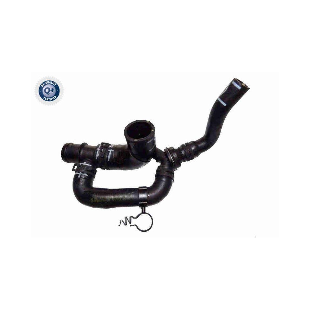 Kühlerschlauch VAICO V10-7561 Q+, Erstausrüsterqualität für VW
