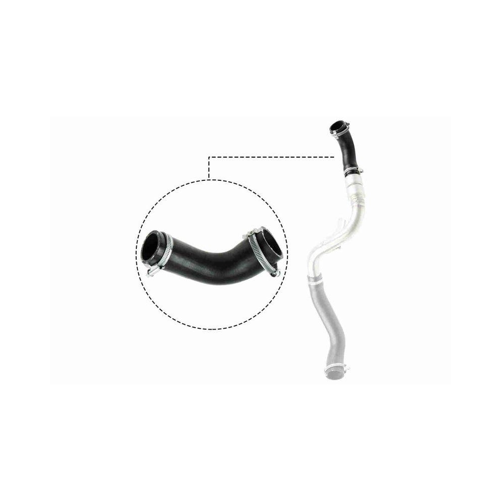 Ladeluftschlauch VAICO V25-1487 Q+, Erstausr&uuml;sterqualit&auml;t f&uuml;r FORD