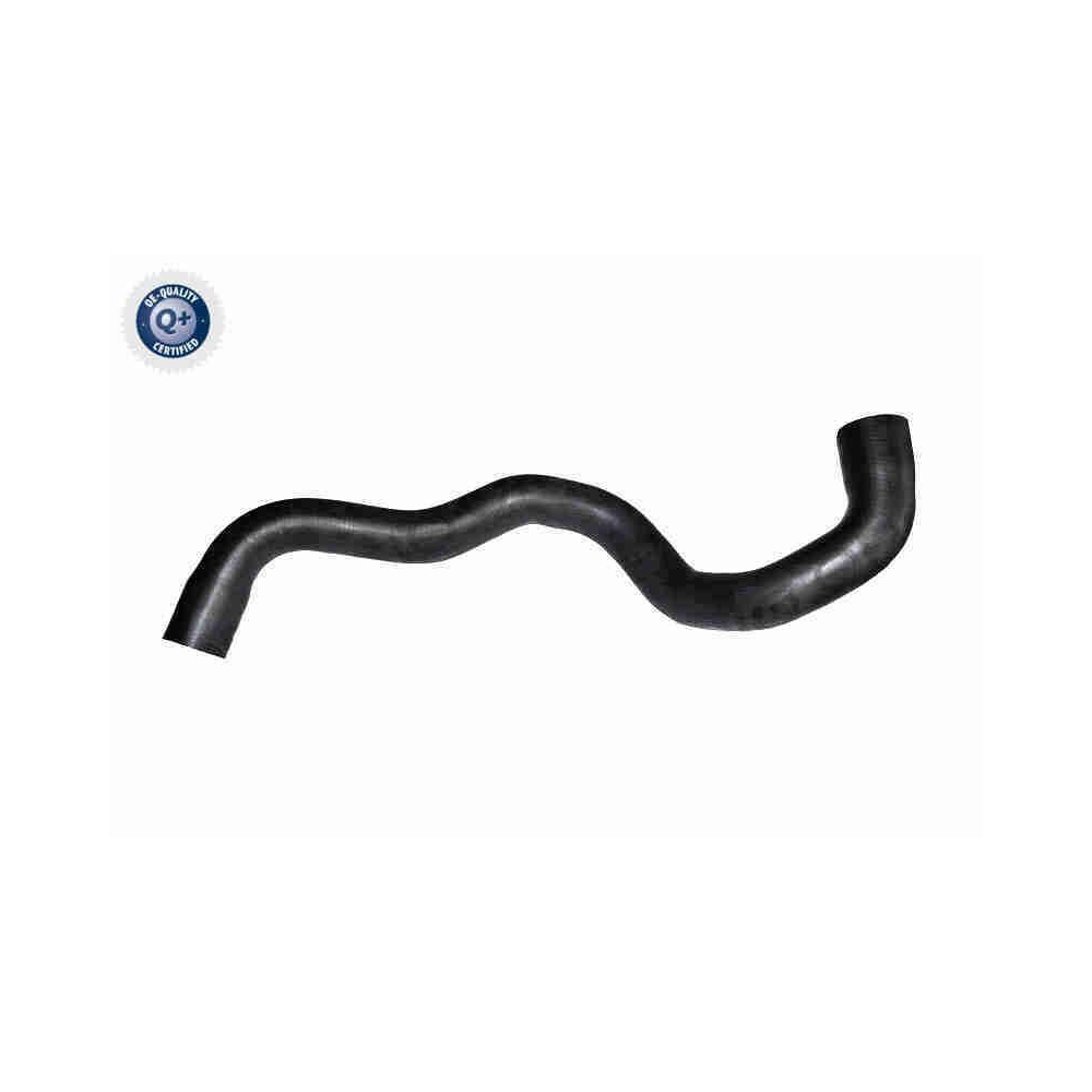 K&uuml;hlerschlauch VAICO V10-7562 Q+, Erstausr&uuml;sterqualit&auml;t f&uuml;r VW, links unten