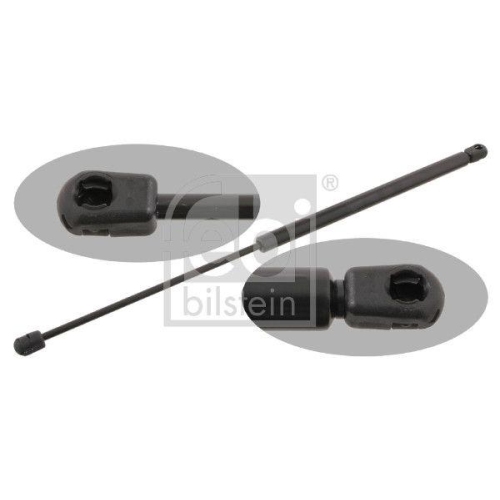 FEBI BILSTEIN Gasfeder, Koffer-/Laderaum 29291 f&uuml;r MITSUBISHI, beidseitig