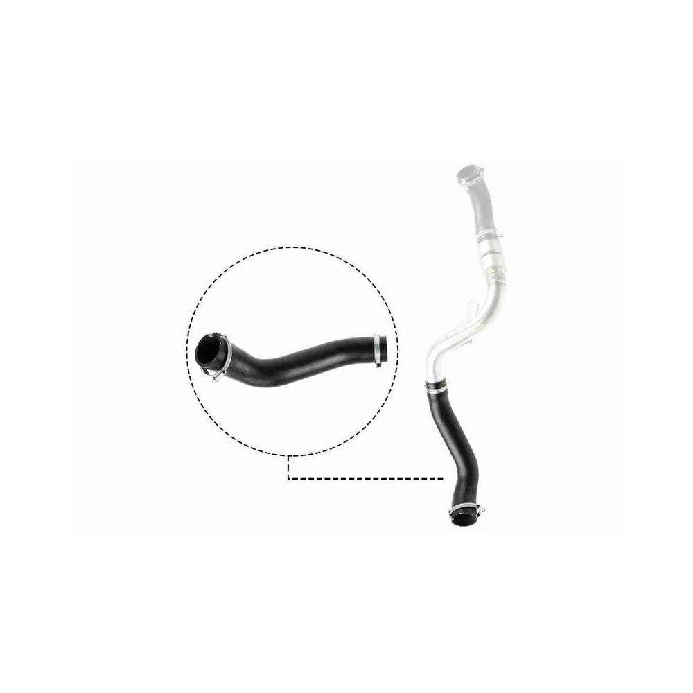 Ladeluftschlauch VAICO V25-1488 Q+, Erstausrüsterqualität für FORD