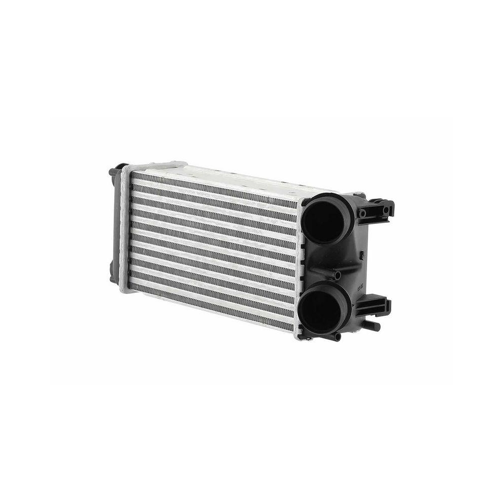 HELLA Ladeluftkühler 8ML 366 470-951 für CITROËN PEUGEOT, links