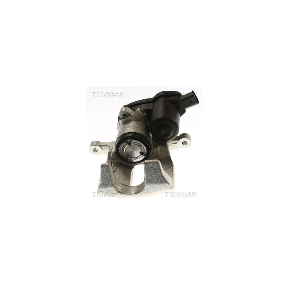 Bremssattel TRISCAN 8175 29254 für AUDI SEAT SKODA VW, Hinterachse rechts