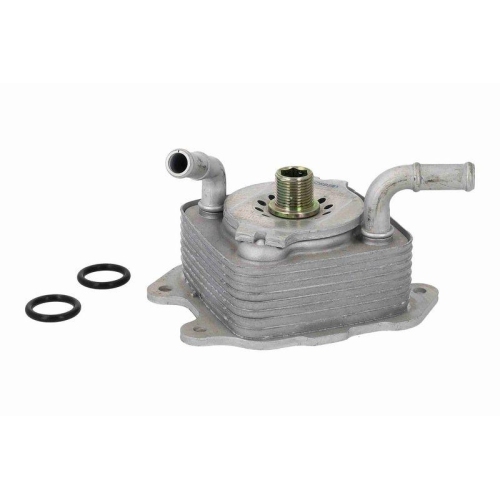 ACKOJA A38-60-0024 &Ouml;lk&uuml;hler, Motor&ouml;l Original ACKOJA Qualit&auml;t f&uuml;r INFINITI