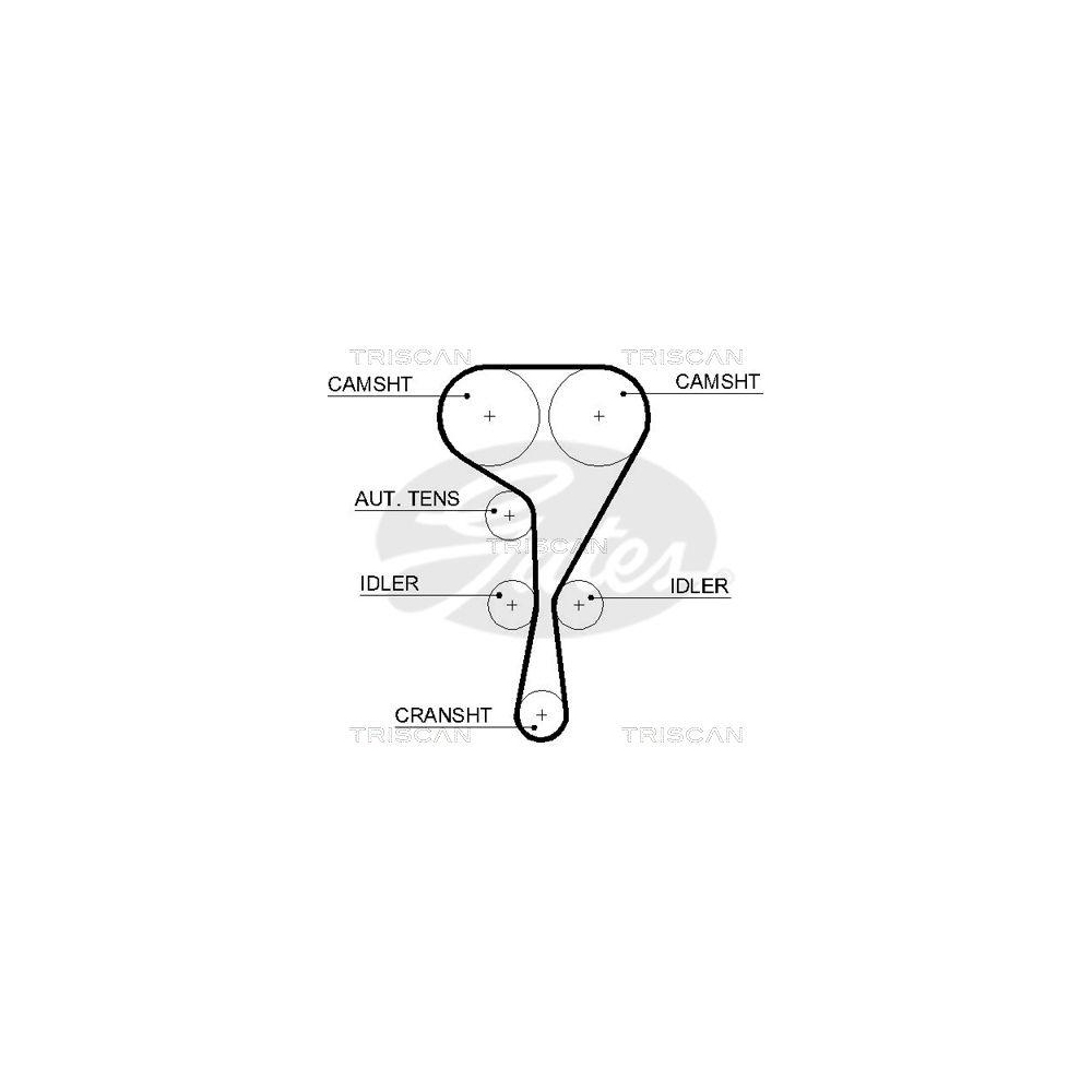 Zahnriemen TRISCAN 8645 5551xs für