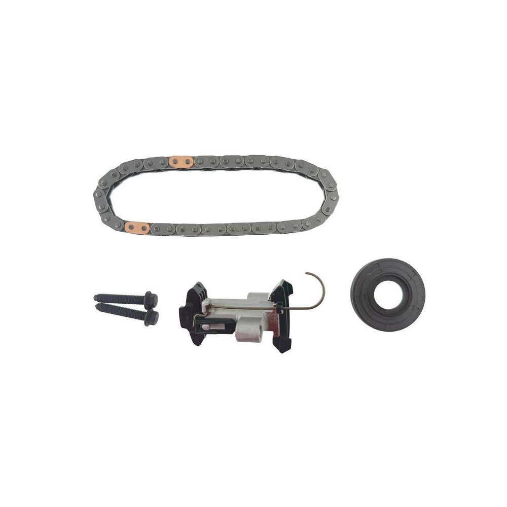 Steuerkettensatz SKF VKML 83506 f&uuml;r CITRO&Euml;N FIAT OPEL PEUGEOT TOYOTA VAUXHALL