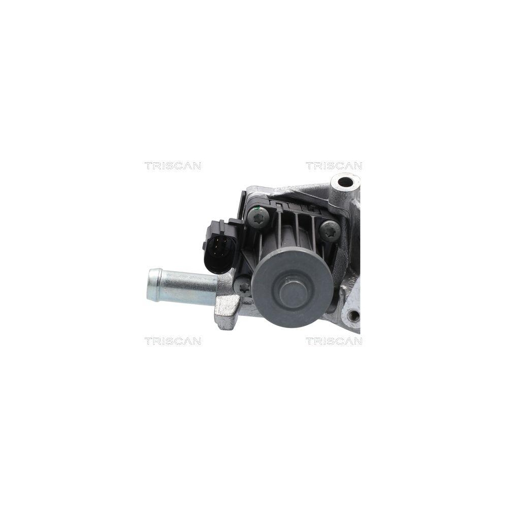 AGR-Ventil TRISCAN 8813 10118 für JAGUAR LAND ROVER, links