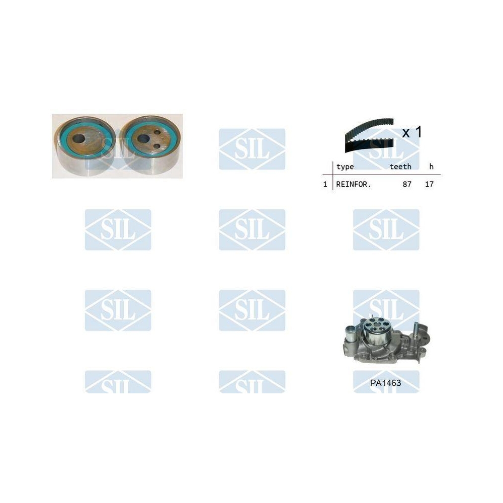 Wasserpumpe + Zahnriemensatz Saleri SIL K1PA1463 f&uuml;r NISSAN RENAULT DACIA