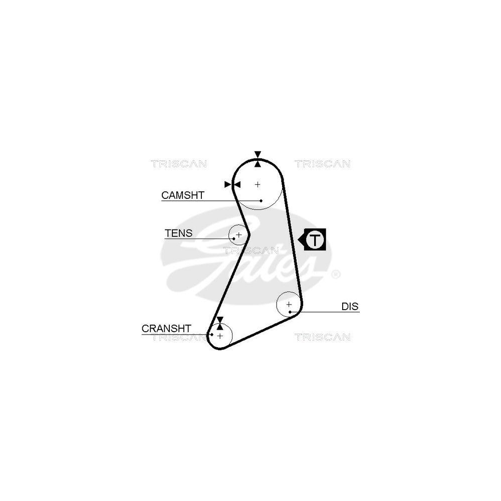Zahnriemen TRISCAN 8645 5399xs f&uuml;r SEAT VW DANA