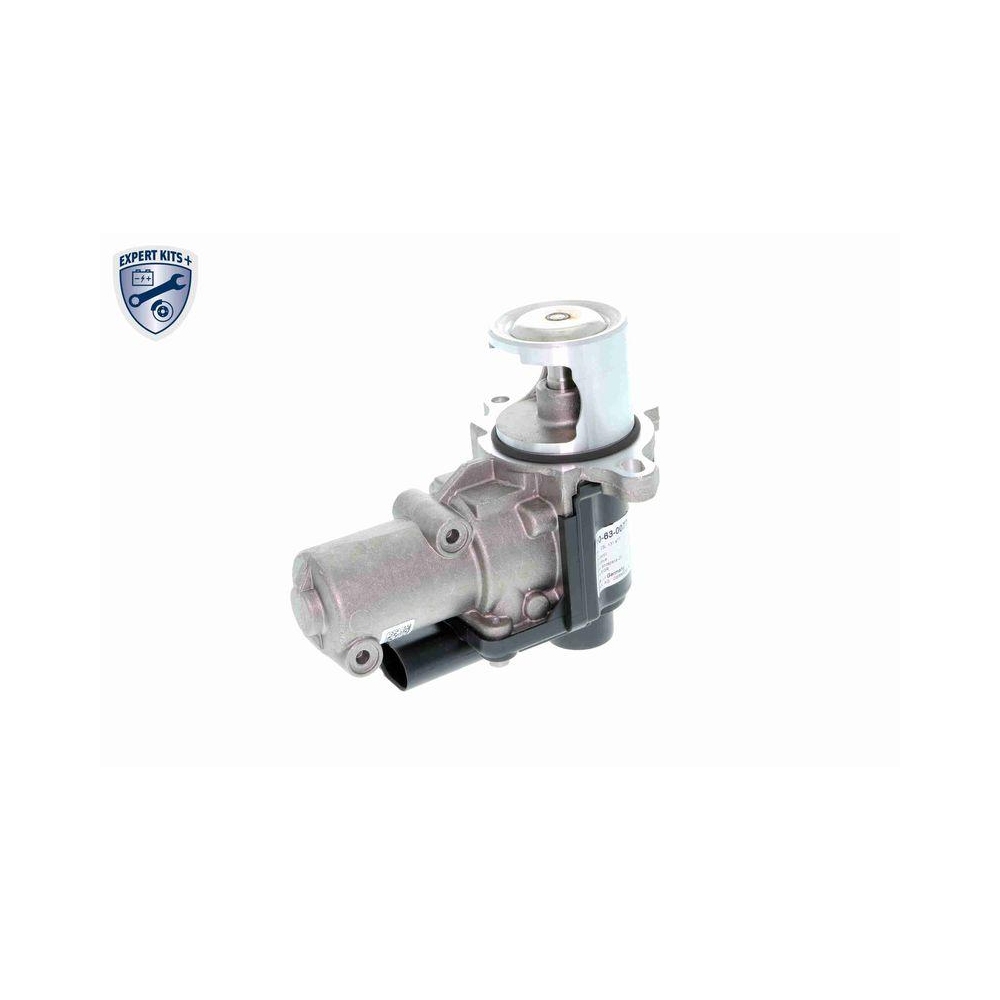 AGR-Ventil VEMO V10-63-0077 EXPERT KITS + f&uuml;r AUDI SEAT SKODA VW VAG