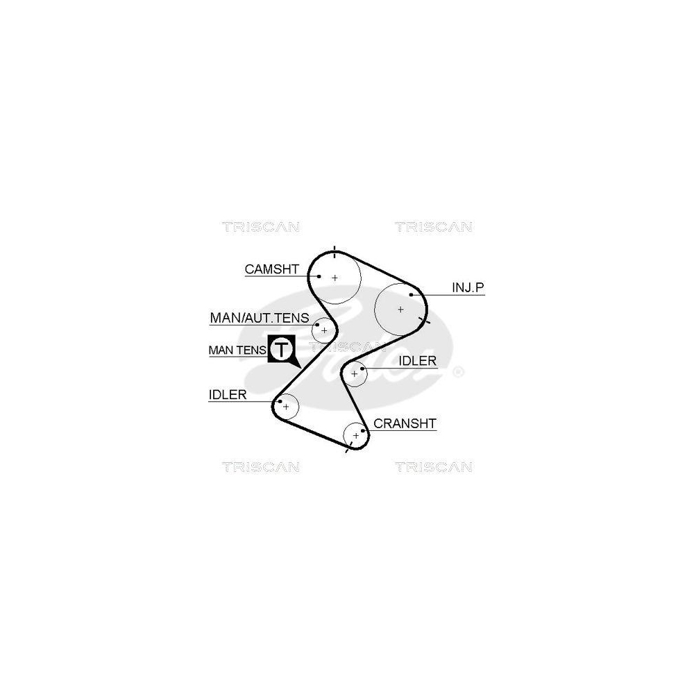 Zahnriemen TRISCAN 8645 5561xs f&uuml;r OPEL RENAULT VAUXHALL