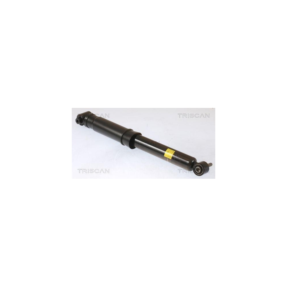 Stoßdämpfer TRISCAN 8705 25211 für BMW RENAULT, Hinterachse