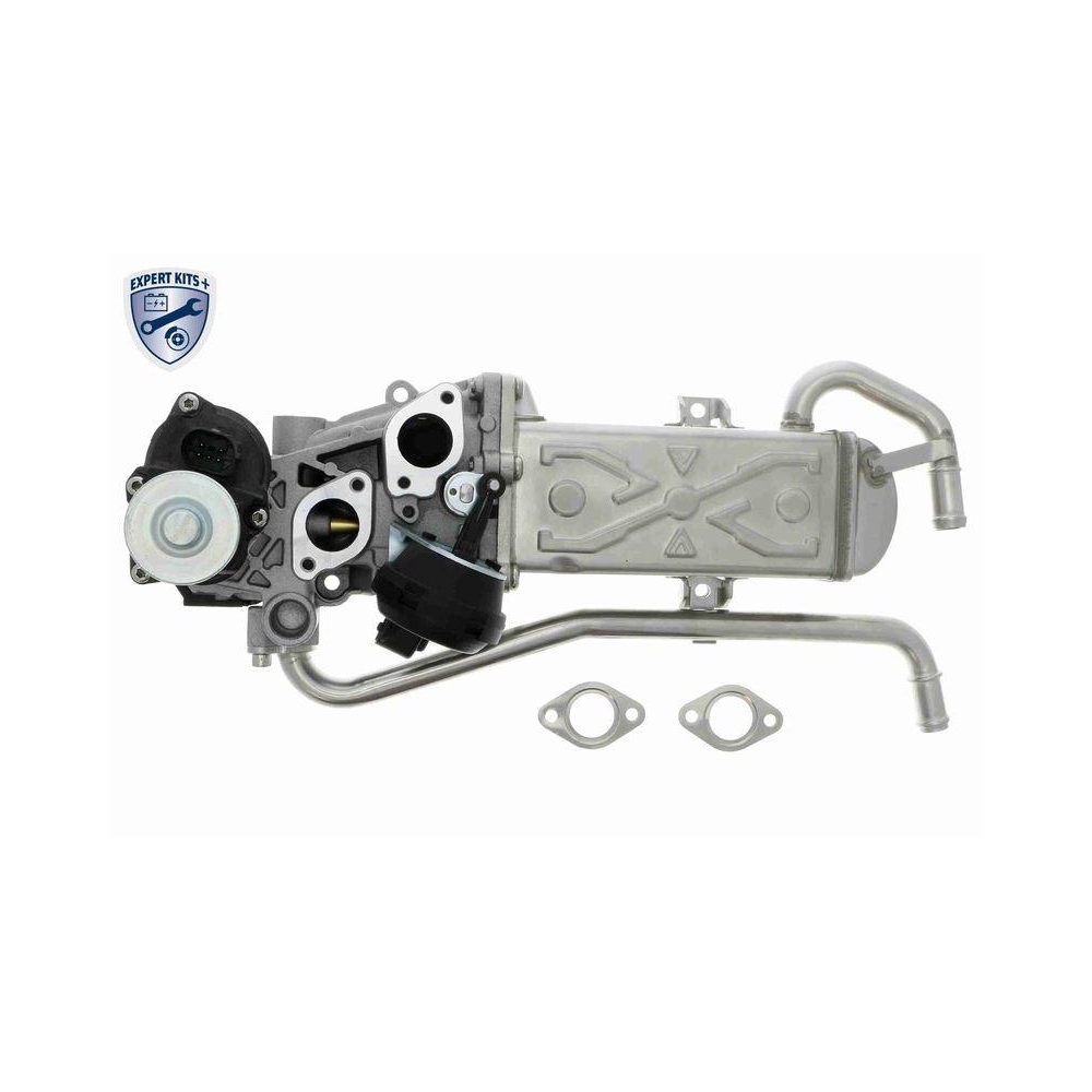 AGR-Ventil VEMO V10-63-0082 EXPERT KITS + f&uuml;r AUDI SEAT SKODA VW VAG