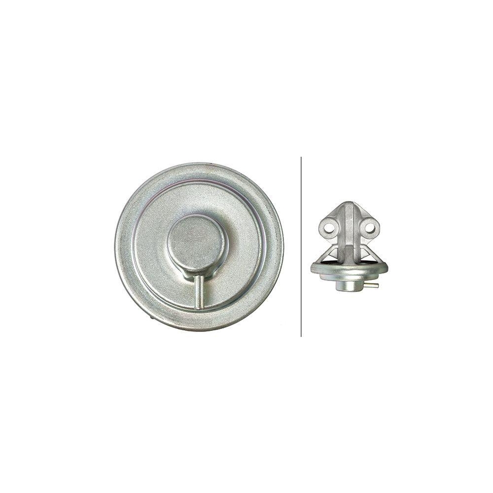 HELLA AGR-Ventil 6NU 014 865-421 f&uuml;r HYUNDAI