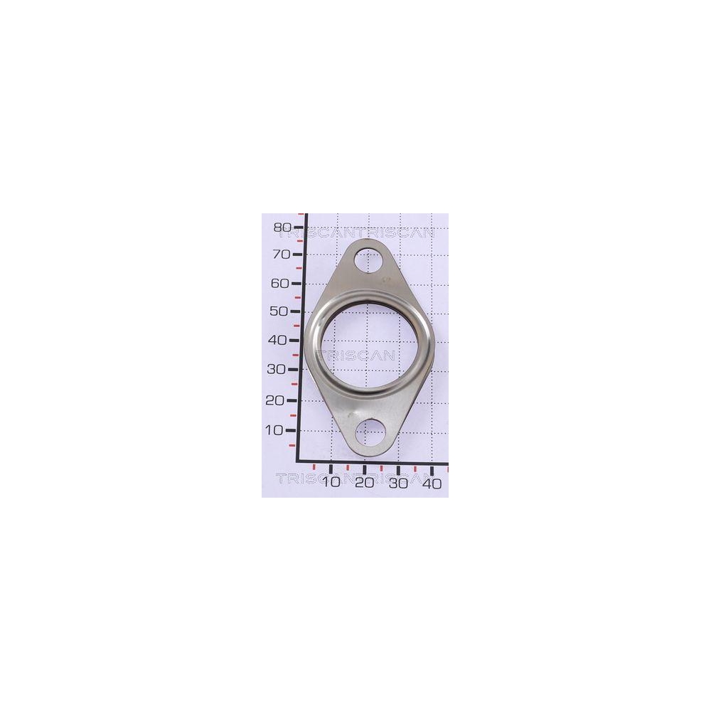 Dichtung TRISCAN 8813 99146 für FORD