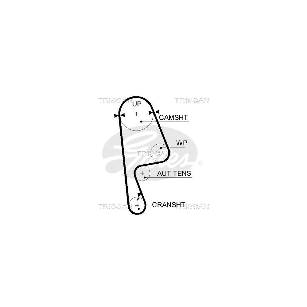 Zahnriemen TRISCAN 8645 5593xs f&uuml;r HONDA