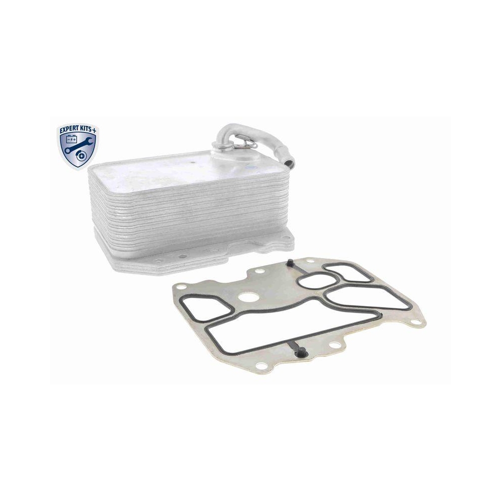 &Ouml;lk&uuml;hler, Motor&ouml;l VEMO V15-60-6075 EXPERT KITS + f&uuml;r AUDI SKODA VW VAG