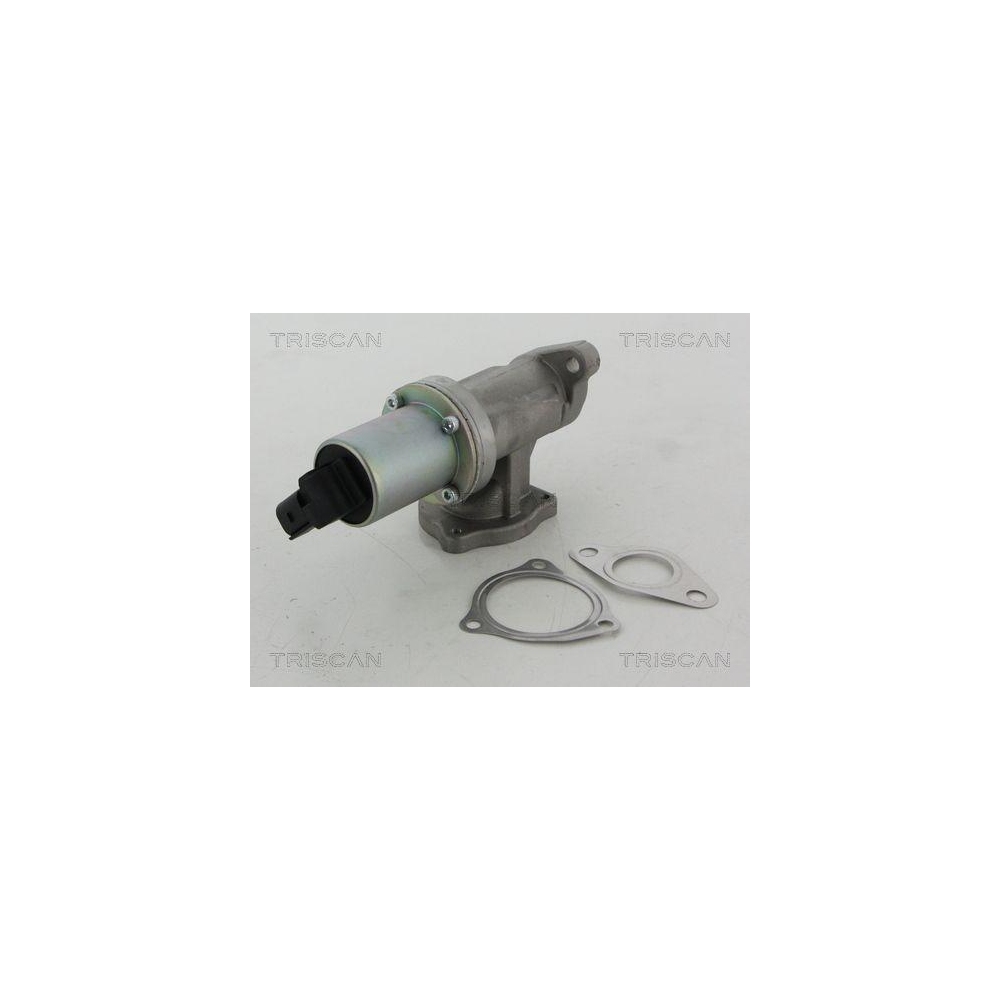 AGR-Ventil TRISCAN 8813 43100 f&uuml;r HYUNDAI